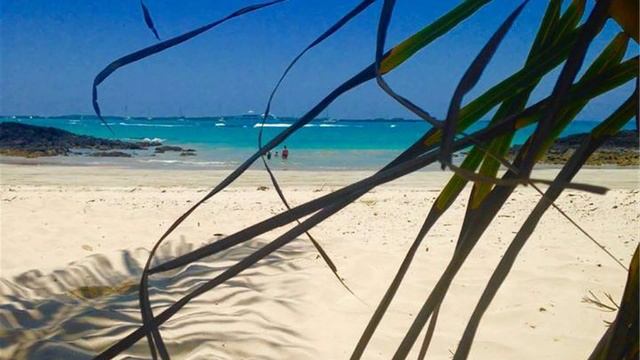 Восхитительный отдых Anna Sorel' в Эквадоре