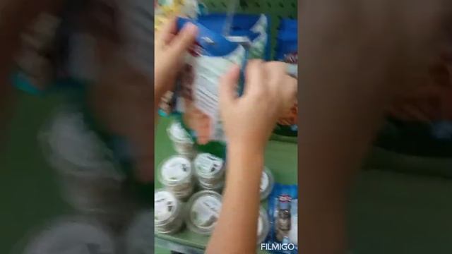 Кот Рыжик ищет игрушку для своего кота