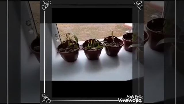 A4216df55ab4a0c1679f665322b8300b