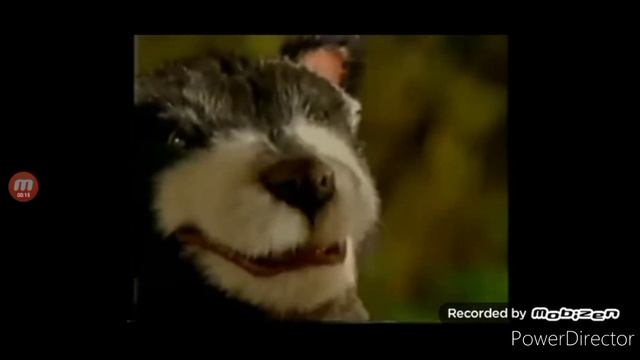 97a3c3f05d1fbd09990a11316006be25