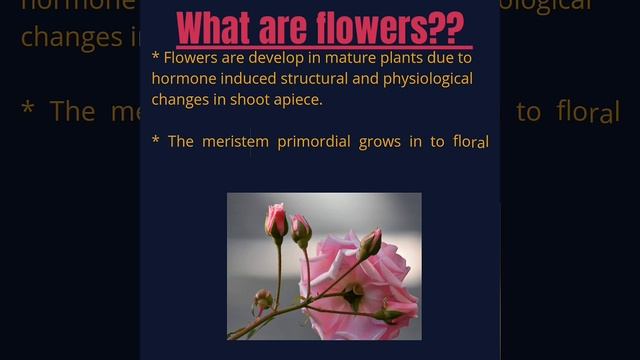 Reproduction In Angeosperm#youtube_studypoint#biology#plants#botany#neet2021#neet2022#neet#aspirant