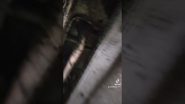 Ауди  Q7 2018год