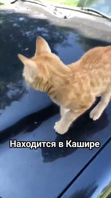 Faa74cafac2c7fcc2776feb16b7f82fa