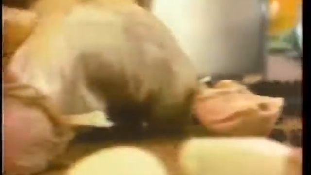 5ca7775910891ba1fb0306de1ebac62c