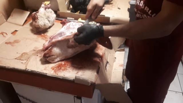Kuzu Kelle Teizleme