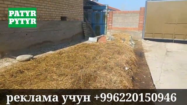 Соолжан/Отуз адырда Банан осот экен байланыш тел;050426393/0777263937/0554444700
