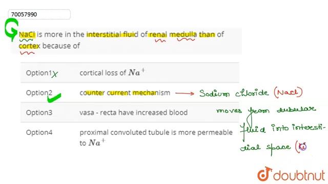 NaCl is more in the interstitial fluid of renal medulla than of cortex because of
