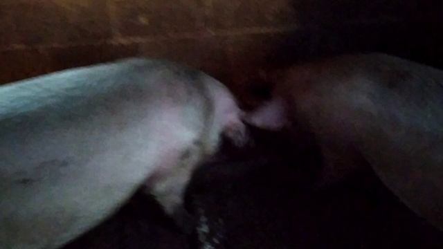 Кубик о жизни. Продолжение следует.