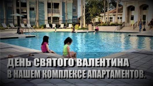 98# День Святого Валентина в нашем комплексе апартаментов. Тампа, Флорида, США.
