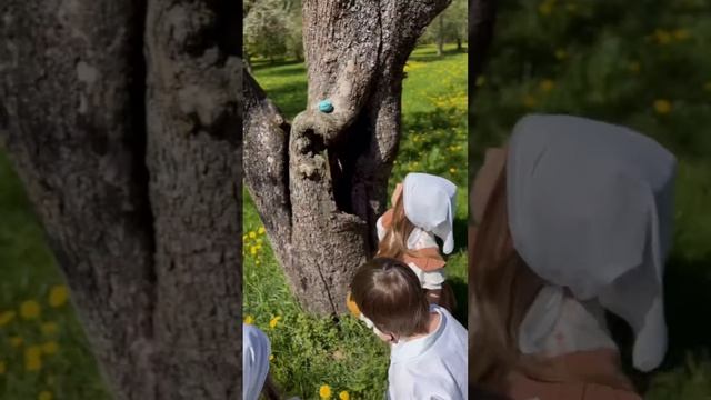 С праздником Светлой Пасхи!🐣