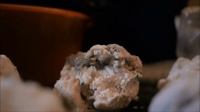 Венский университет