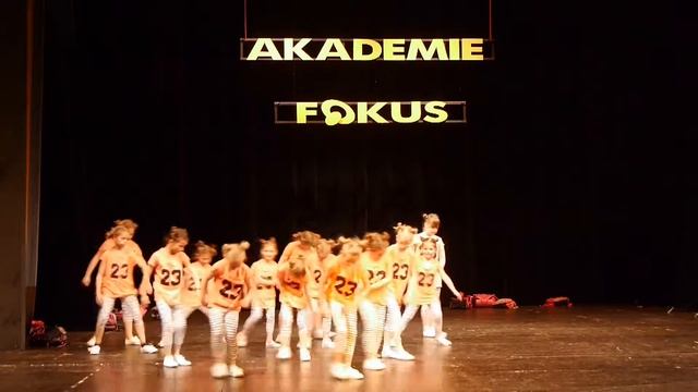 Akademie SVČ Fokus 2016 - TS 23 Mini