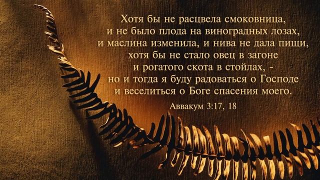 Вечереннее служение - Книга Даниила 3 глава (24.07.2021)