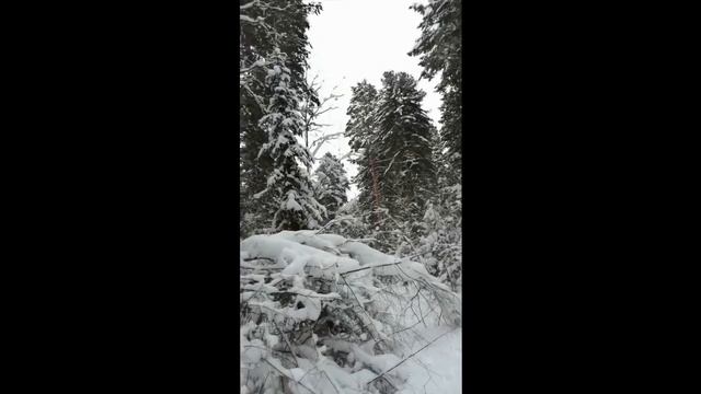 036ba94336deb5e059bff1a2d27a9980