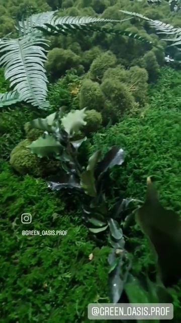 14e934875130d8ad6d9b37088d0d5671