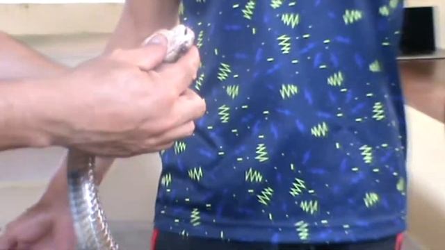 32e10094087201bd102d07515051acc6