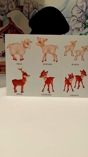 Познавательная игра 