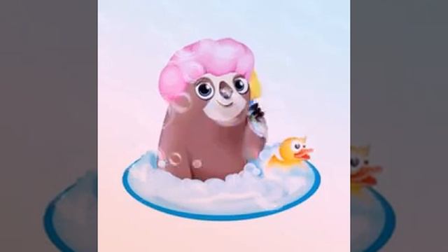 Koala 🐨🐨🐨🐨🐨🐨😂😂😂🤣📽️📷📸