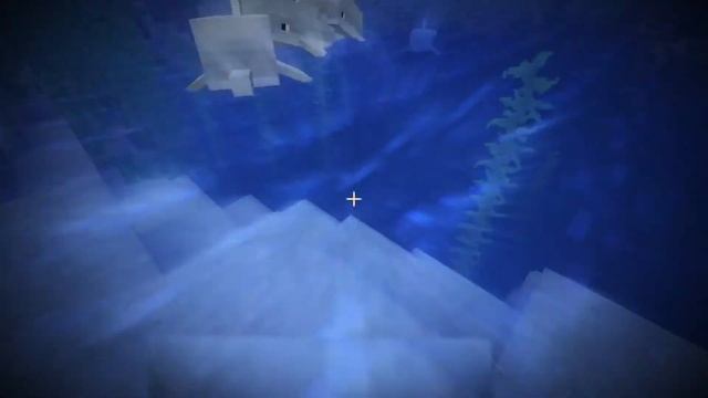 Dolphin Mod For Minecraft