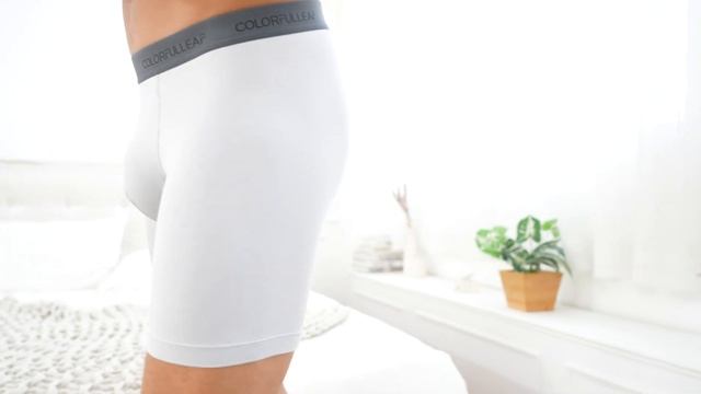 COLORFULLEAF Cool Bamboo Underwear For Men Super Soft 100% High Quality