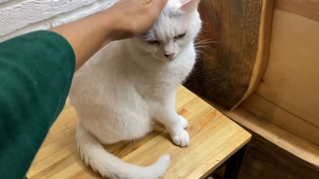 797fd61ca2ee6efd5a3a90196268c257