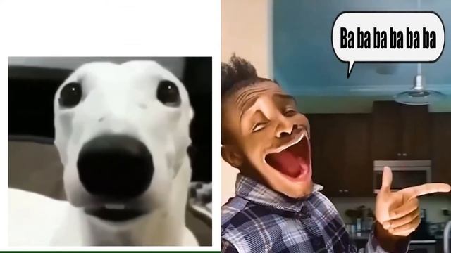 Turi Ip Ip Vs Babababababa (Epic Rap Battle)