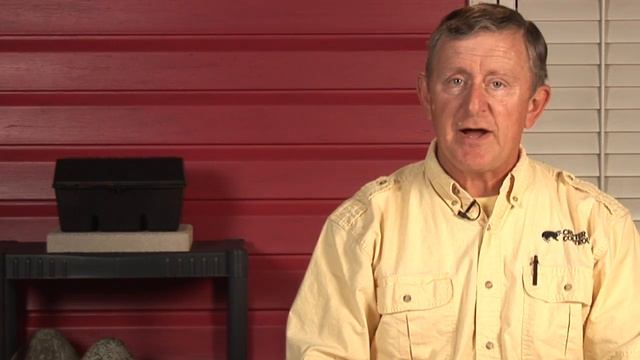 Getting Rid Of Mice : How To Get Rid Of Field Mice