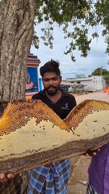 🚫 Rare Peice 🚫 15 Kg தேனடை #ghatshoney #shorts