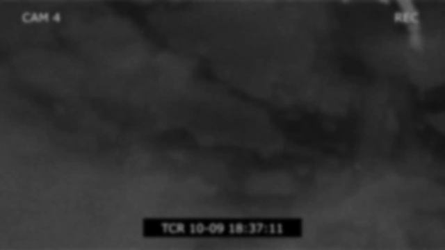 Publiczni łowcy W Formie-CSM 173[OMÓWIENIE]