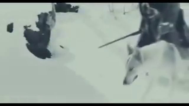 7 ноября 2016 г.