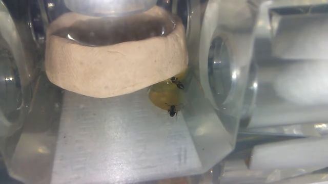 9f05a09fdd5ce60ffd28310c14ca2556