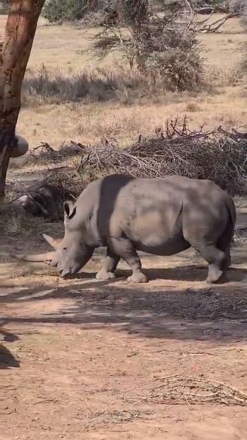 8d6811c24a546332631eaad696a1a465