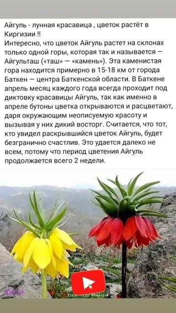 #қалай #как #Айгүл #есіми# горные