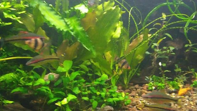 8af9a3a380ceb73e48abb06c3c58e05a