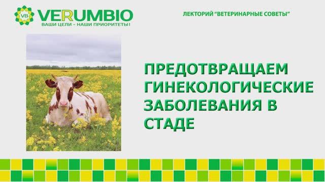 Предотвращаем гинекологические заболевания