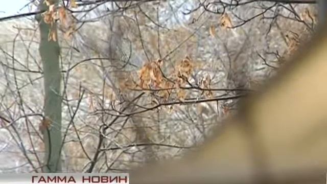 Гамма НОВИН. 20.11.2014