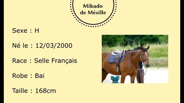 [Présentation Des Chevaux] Mikado De Mésille