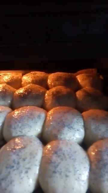 A7295b32be168e967adc255505c27e3d