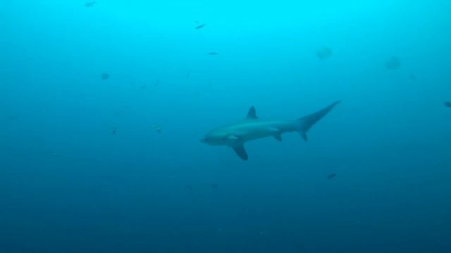 Water 2018 - (Gopro, DJI Mavic Air) HD