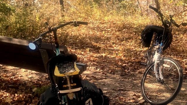 PHOENIX BIKE WRX, Citi Crank Forward Bicycle,