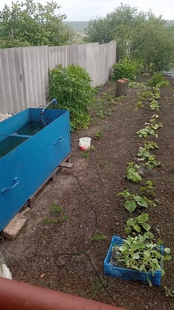 C3f5a0165845b5187f747f1fada0ca03