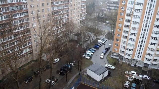 В Москве бушует смертельный  ураган. In Moscow, A Fatal Storm Is Raging.
