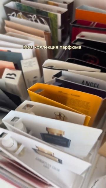 Женская 🆚 Мужская коллекция духов #shorts