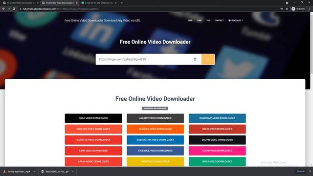 Imgur Video Downloader Download Imgur Video Online by URL