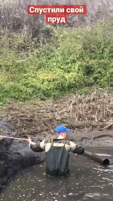 СПУСТИЛИ ПРУД! Вылавливаем запущенного малька! СПАСАЕМ РЫБУ! #рыбалка #спускаемпруд #рыбаки