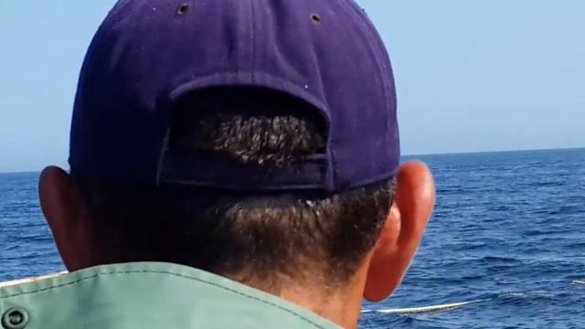 364af4b11b932ae1f0338683d597ceb5