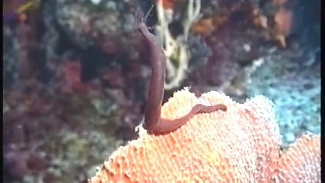 4e33686e40a7fb93117fd1c2fd4c58a7