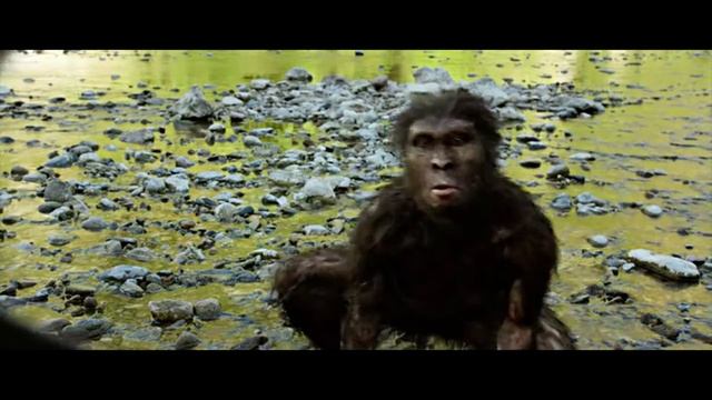 дельфин Надя