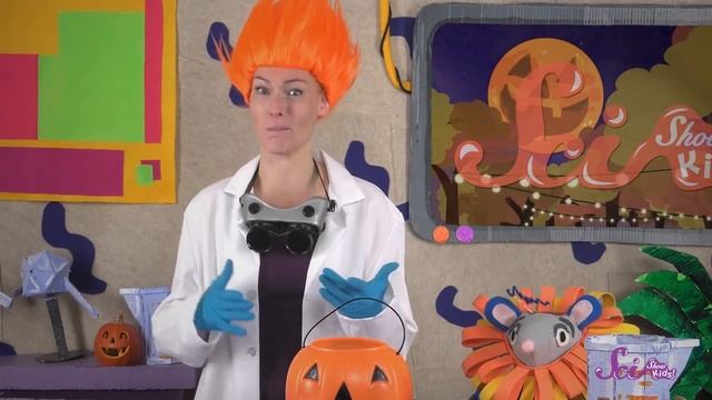 Where Does Chocolate Come From?