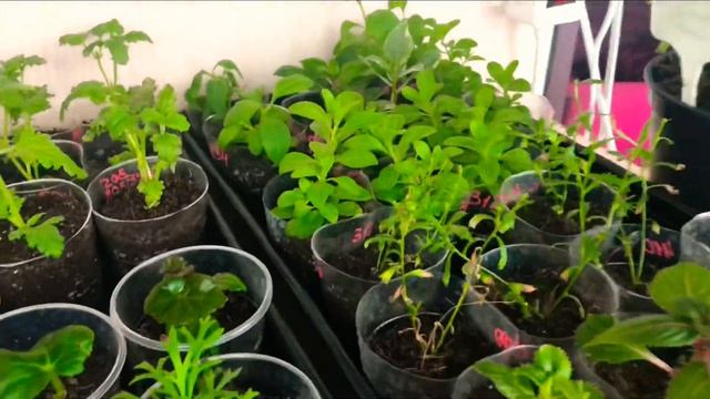 Bd881f2af9060c6bda3283b70385394e